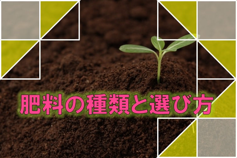 米ぬか 肥料 成分