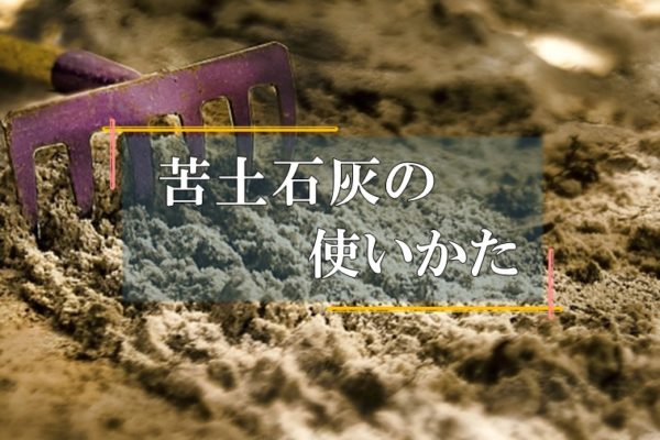 土壌　酸度調整　苦土石灰
