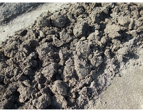 畑　春前の支度