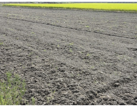 土壌　中和　酸度　pH