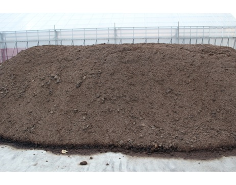 肥料　活力剤　植物