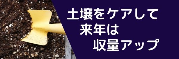 春の園芸　２月