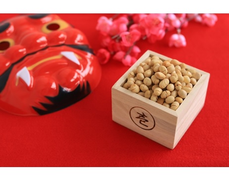 春の園芸　２月