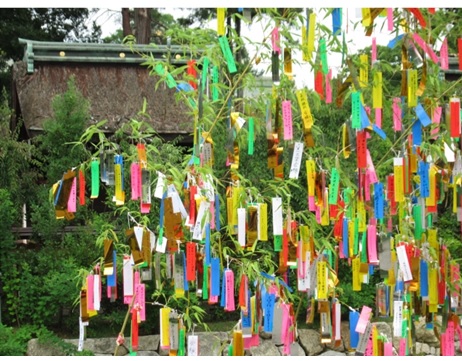 園芸　歳時記　文月