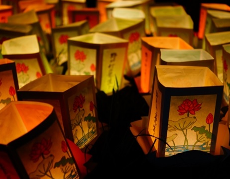 園芸　歳時記　葉月