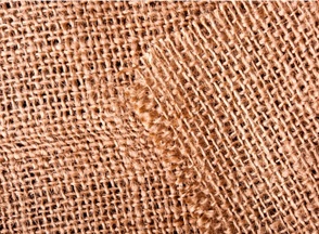 冬囲い　結束　雪囲い　