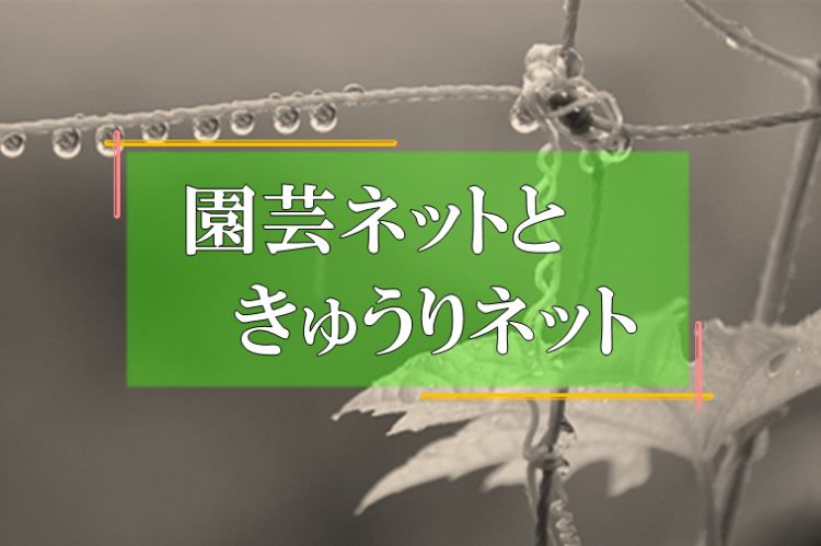 園芸ネット　きゅうりネット　育成ネット　ツル性植物