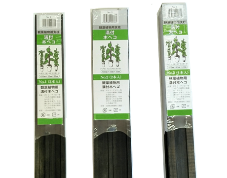 ヘゴ　ココスティック　木ヘゴ