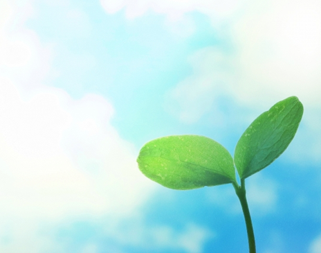 園芸　歳時記　農作業