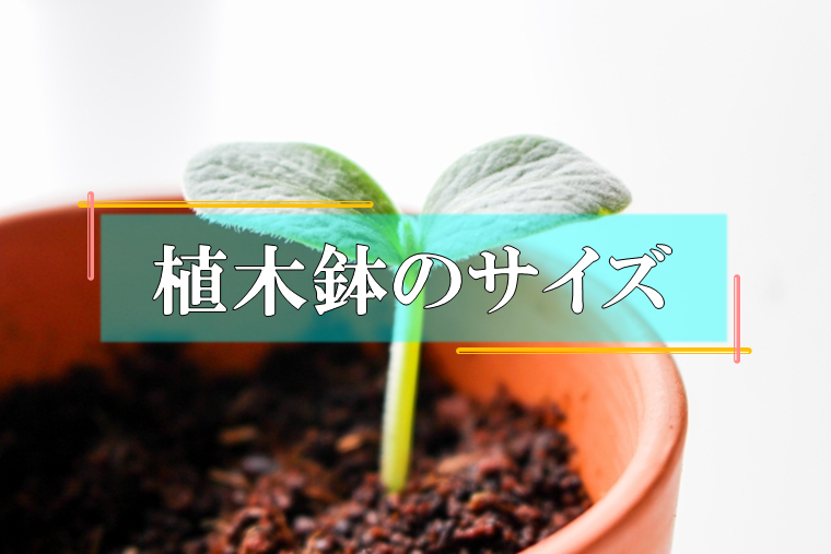 植木鉢のサイズ 末吉商店 青森県平川市
