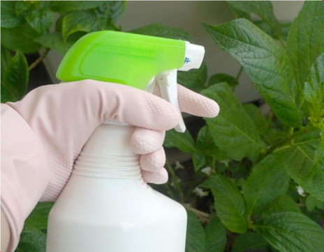 うどんこ病対策にサンヨール液剤ａｌ 株式会社末吉商店 青森県平川市