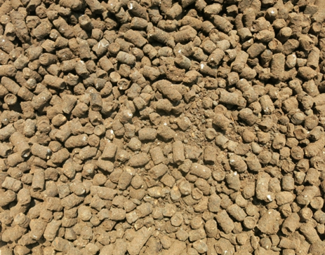 リンゴの花つきと年の関係 株式会社末吉商店 青森県平川市 リンゴの花つきと年の関係 株式会社末吉商店 青森県平川市