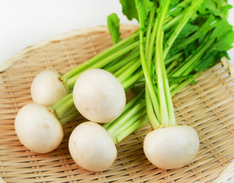 10月　旬の野菜　カブ