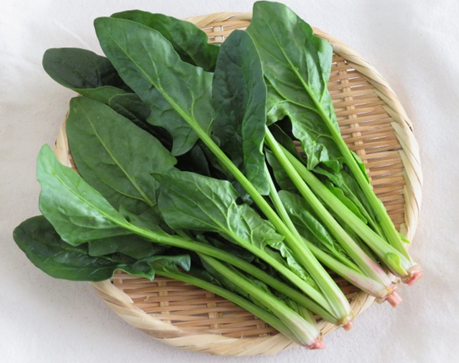 ほうれん草　11月　旬の野菜