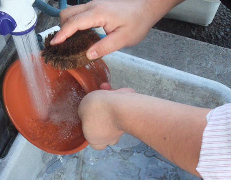 植木鉢　プランター　お手入れ