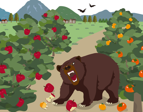 畑　果樹園　被害