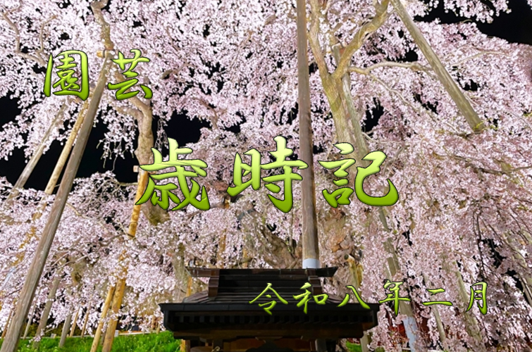 園芸歳時記 令和八年二月 - 株式会社末吉商店 （青森県平川市）