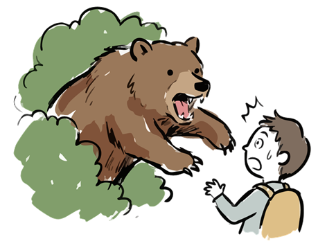 熊　遭遇　危険